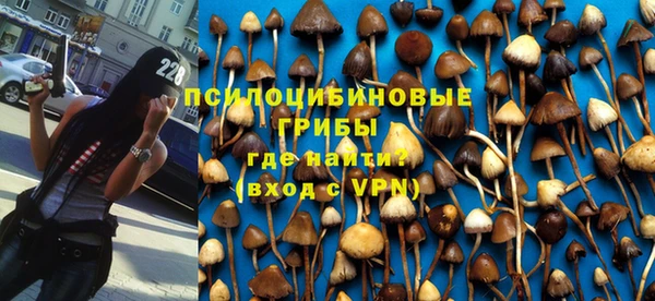 дмт Алзамай