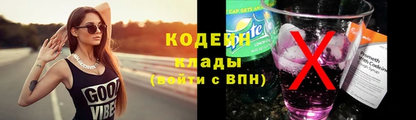 первитин Новодвинск