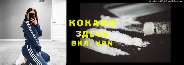 первитин Новодвинск