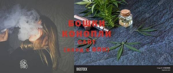 первитин Новодвинск