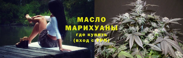 первитин Новодвинск