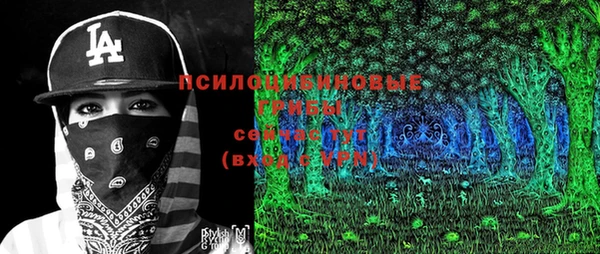 первитин Новодвинск