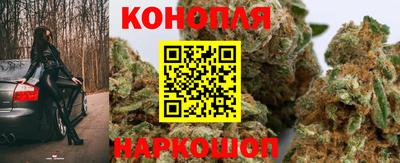 стаф Жуковский