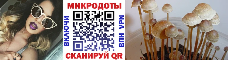 Галлюциногенные грибы мицелий  наркошоп  Киреевск 