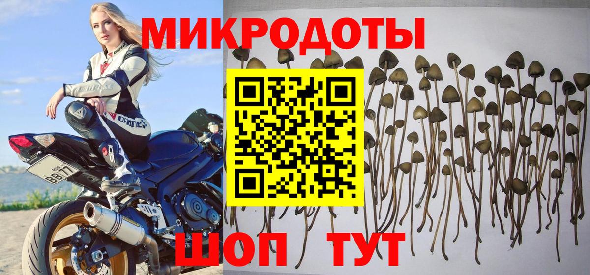 Галлюциногенные грибы прущие грибы  Вход с VPN  Киреевск  Псилоцибиновые грибы Cubensis 