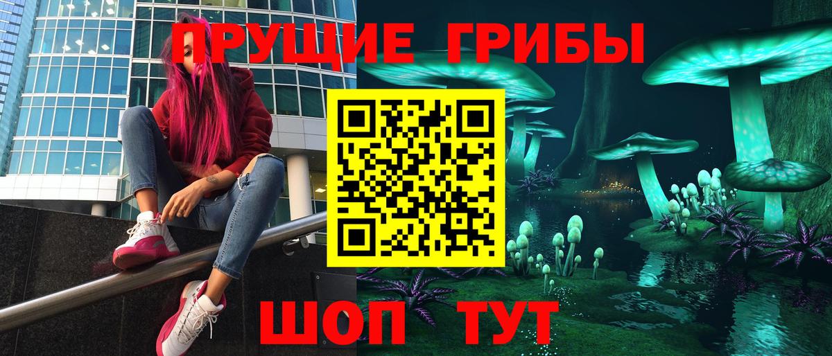 магазин    Галлюциногенные грибы MAGIC MUSHROOMS  Киреевск  Псилоцибиновые грибы Psilocybe 